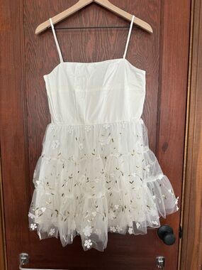 Francesca's Collections White Floral Embroidered Tulle Mini Dress
